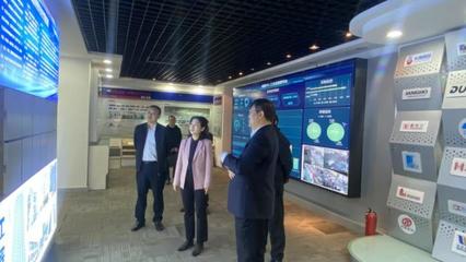 李敏来六安开发区调研督导纪检监察工作与科技推广应用服务